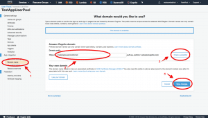 AWS Cognito step-by-step Configure domain name for User pool UI